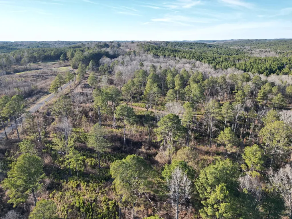 0 County Road B03 Haleyville AL 35565