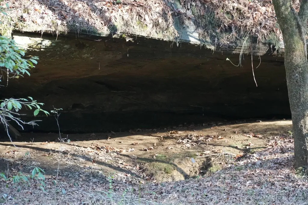 0 County Road B03 Haleyville AL 35565