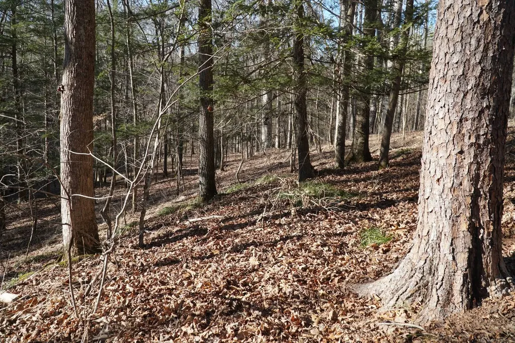 0 County Road B03 Haleyville AL 35565