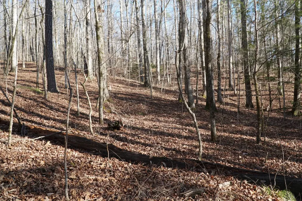 0 County Road B03 Haleyville AL 35565