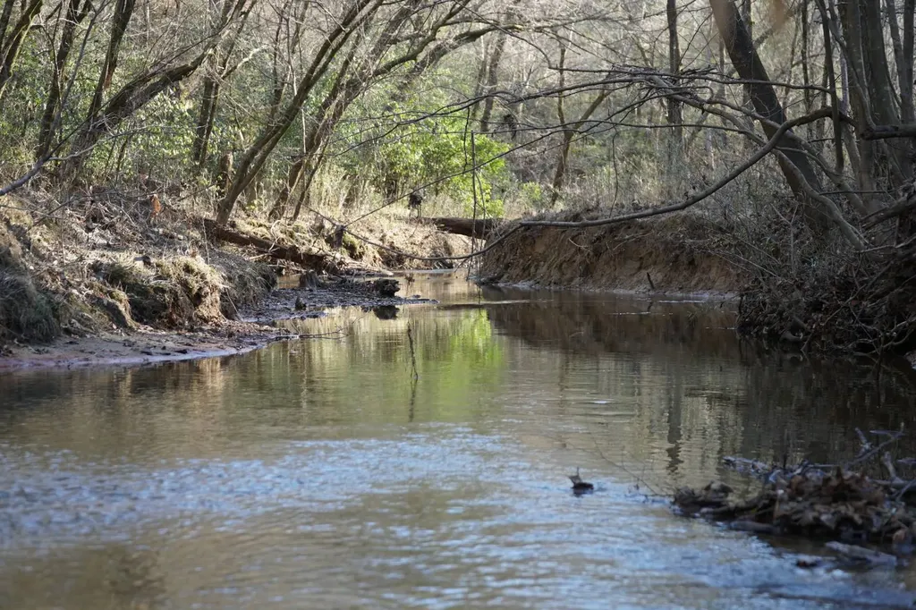 0 County Road B03 Haleyville AL 35565