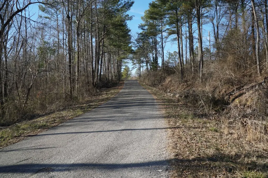 0 County Road B03 Haleyville AL 35565