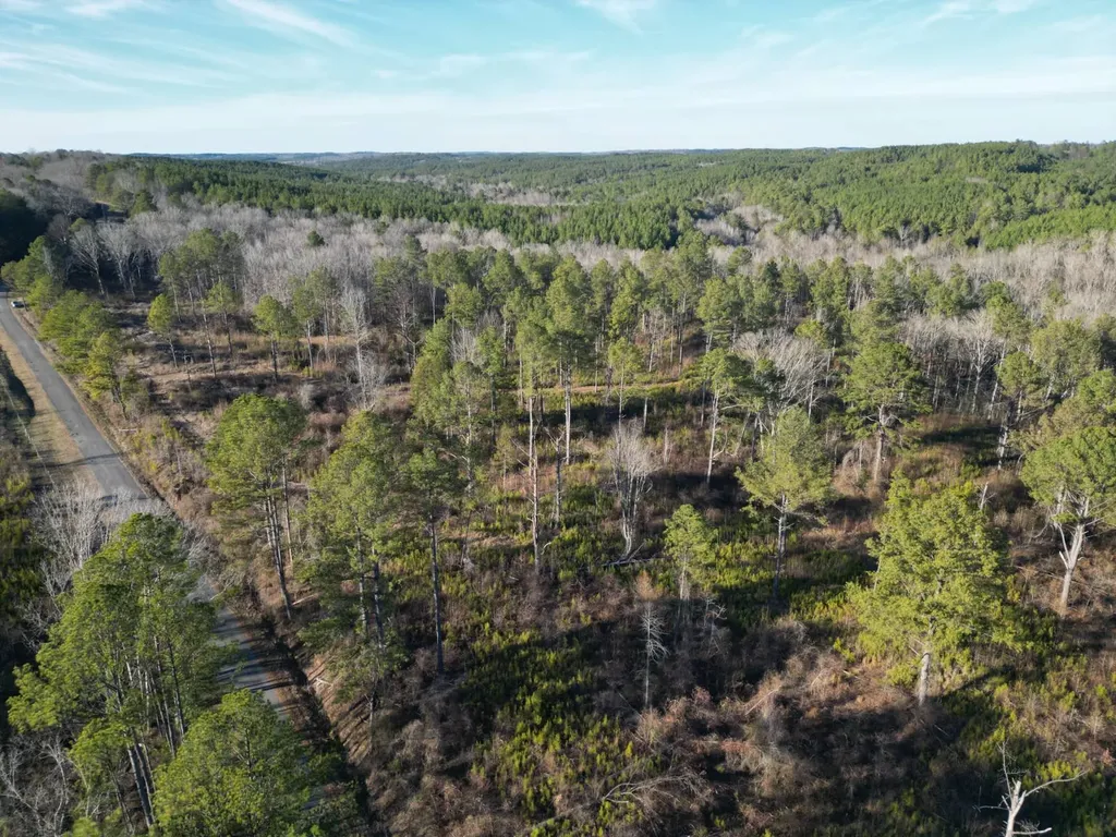 0 County Road B03 Haleyville AL 35565
