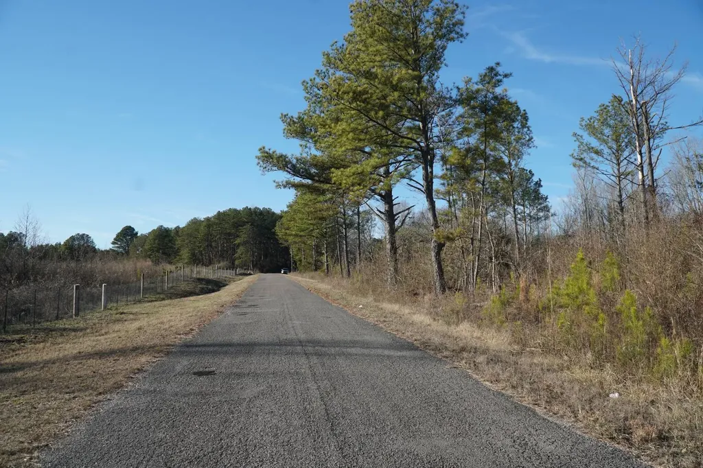 0 County Road B03 Haleyville AL 35565