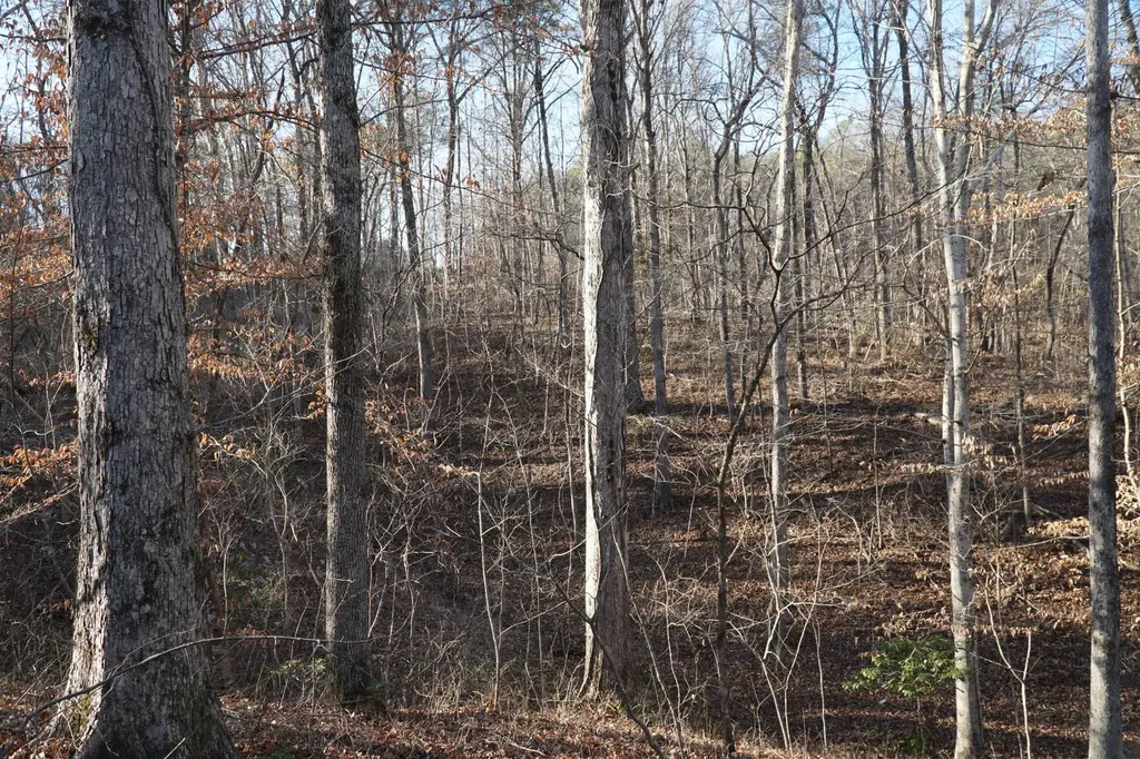 0 County Road B03 Haleyville AL 35565