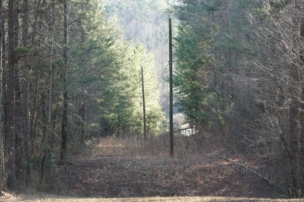 0 County Road B03 Haleyville AL 35565