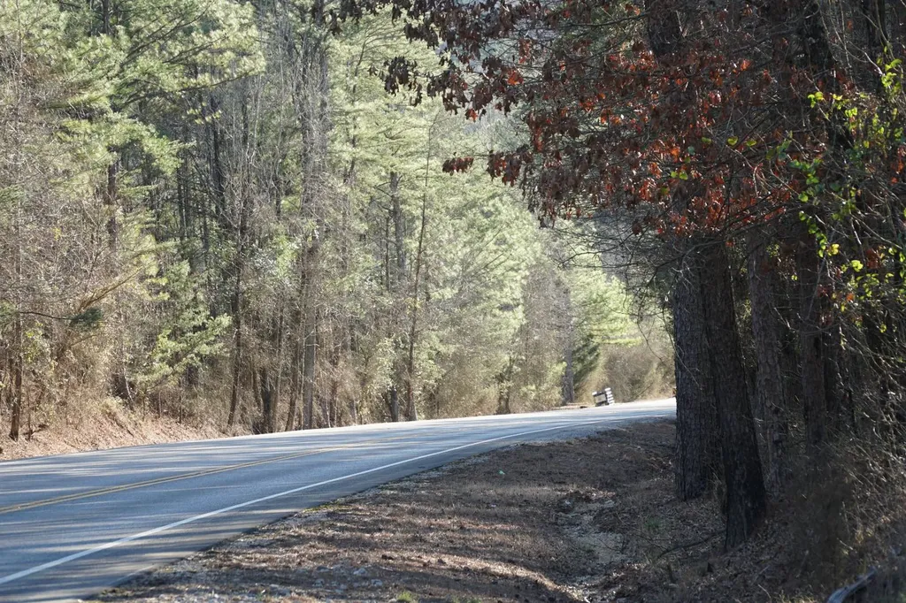 0 County Road B03 Haleyville AL 35565