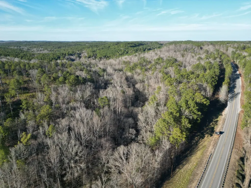 0 County Road B03 Haleyville AL 35565