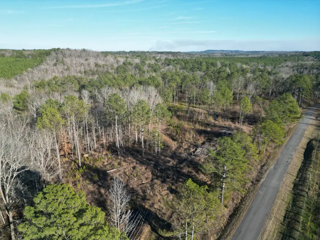 0 County Road B03 Haleyville AL 35565