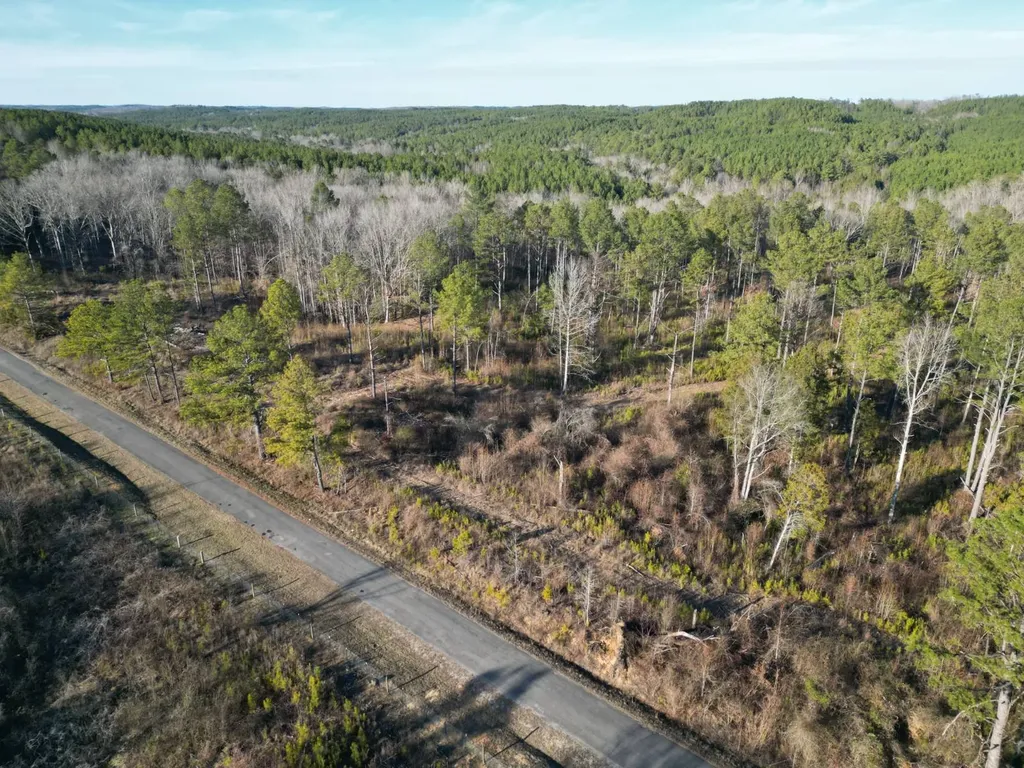 0 County Road B03 Haleyville AL 35565