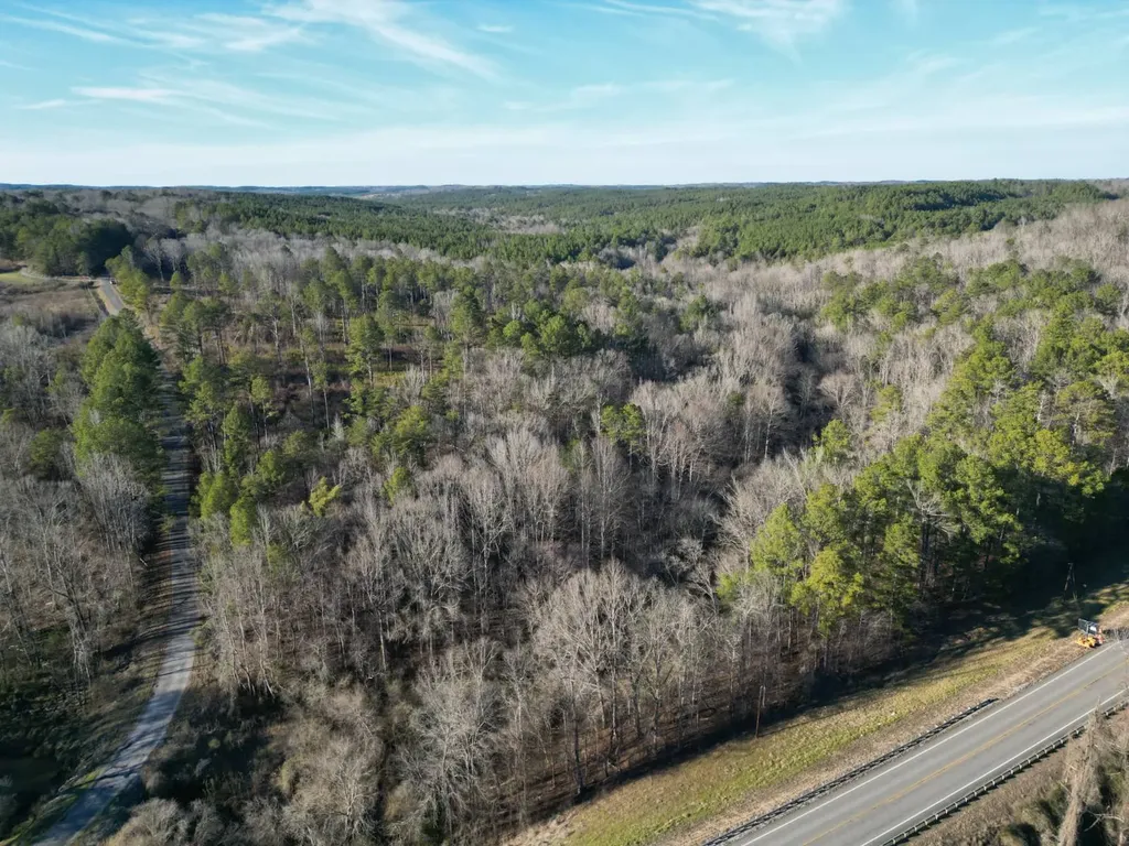 0 County Road B03 Haleyville AL 35565