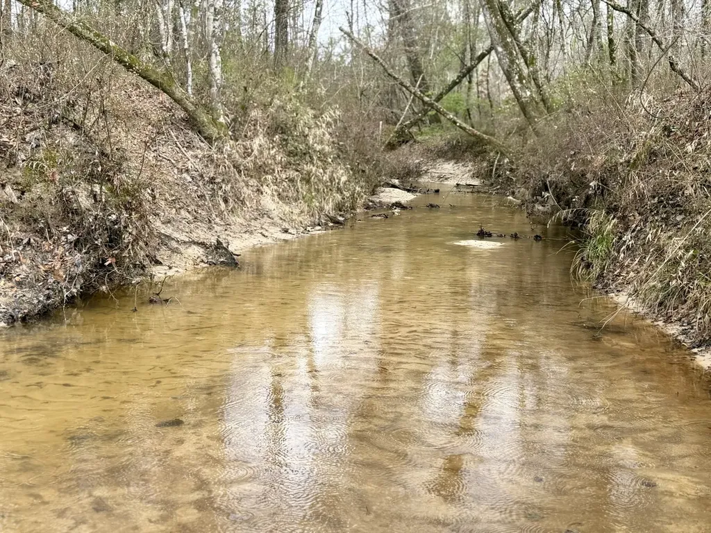 0 Marengo County Road 15 Sweet Water AL 36782