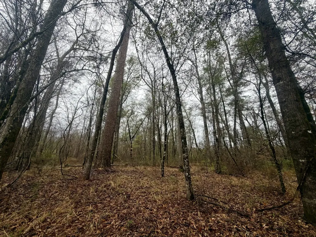 0 Marengo County Road 15 Sweet Water AL 36782