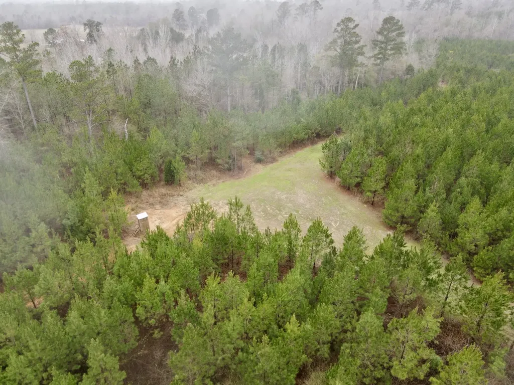 0 Marengo County Road 15 Sweet Water AL 36782