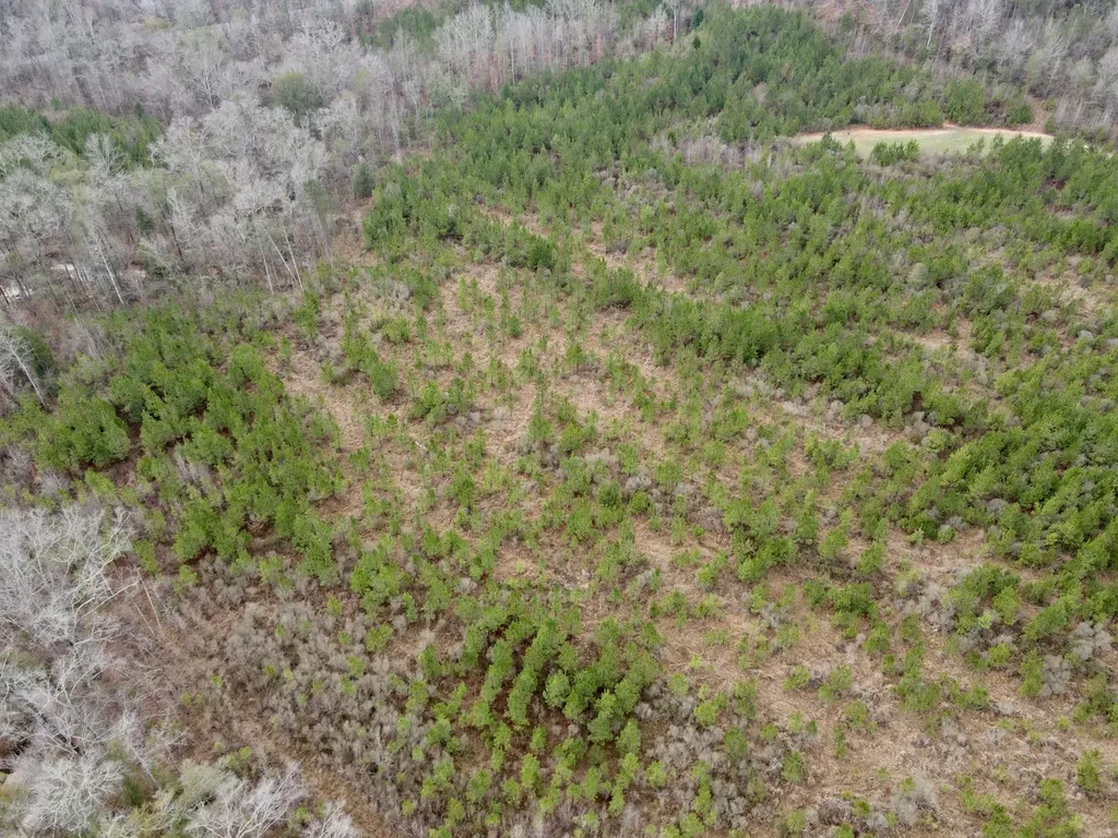 0 Marengo County Road 15 Sweet Water AL 36782