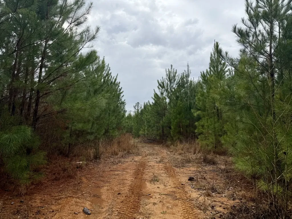 0 Marengo County Road 15 Sweet Water AL 36782