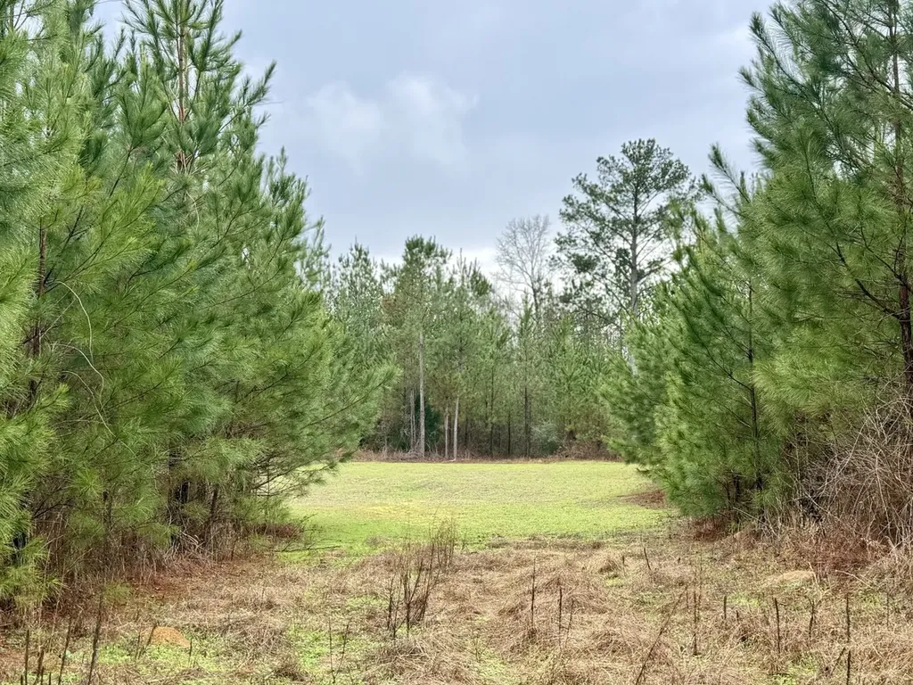 0 Marengo County Road 15 Sweet Water AL 36782