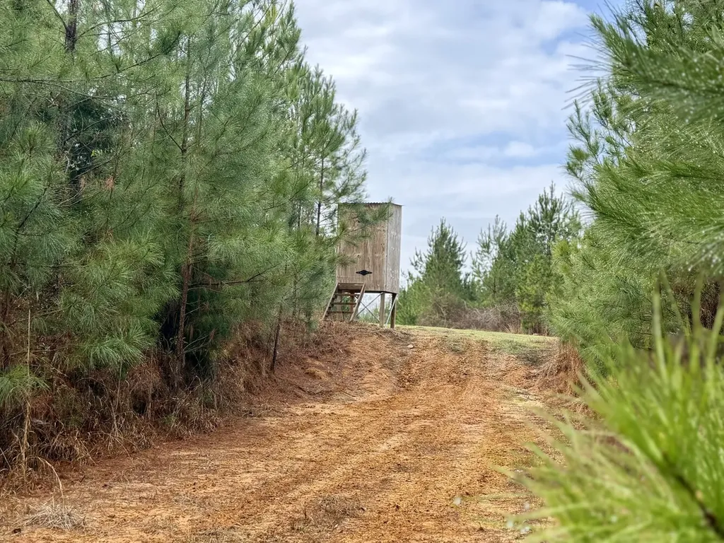 0 Marengo County Road 15 Sweet Water AL 36782