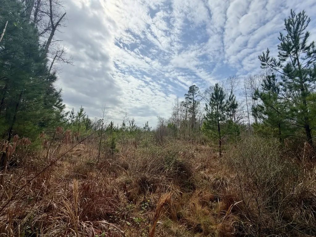 0 Marengo County Road 15 Sweet Water AL 36782