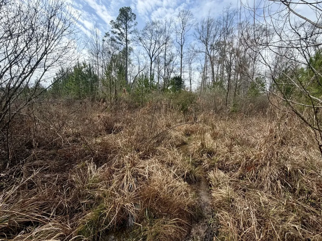 0 Marengo County Road 15 Sweet Water AL 36782