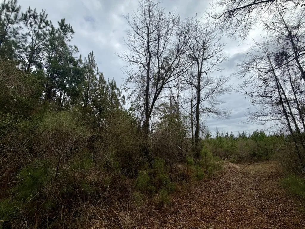 0 Marengo County Road 15 Sweet Water AL 36782