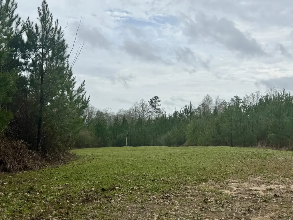 0 Marengo County Road 15 Sweet Water AL 36782