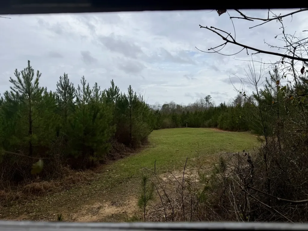 0 Marengo County Road 15 Sweet Water AL 36782