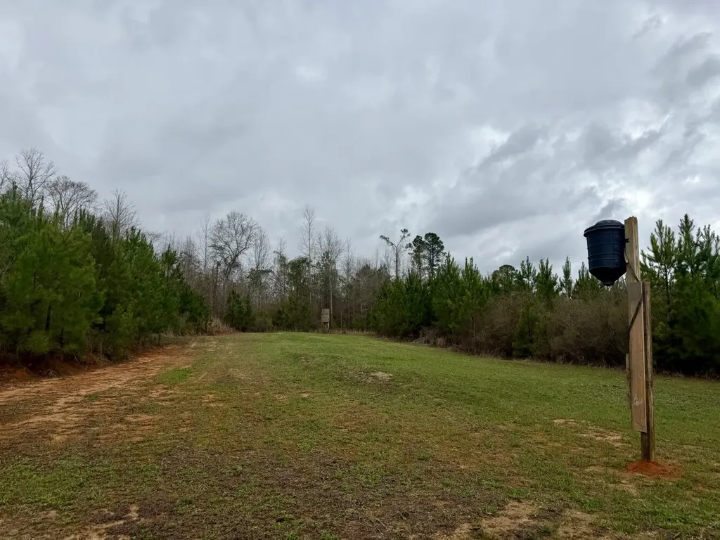0 Marengo County Road 15 Sweet Water AL 36782