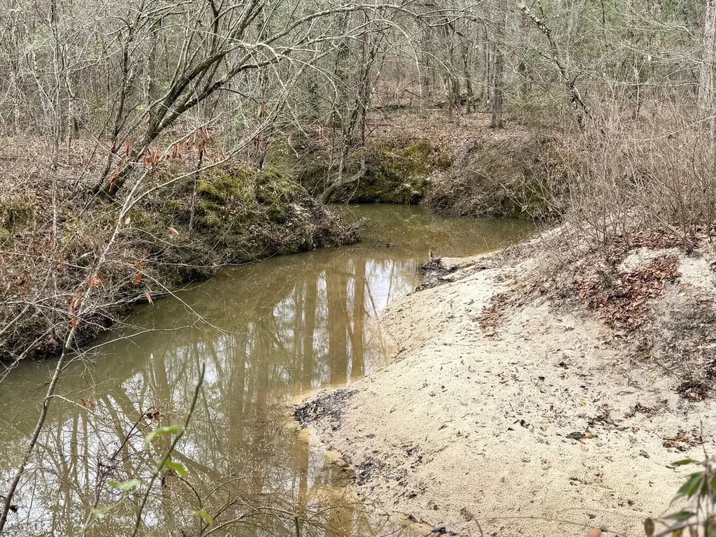 0 Marengo County Road 15 Sweet Water AL 36782