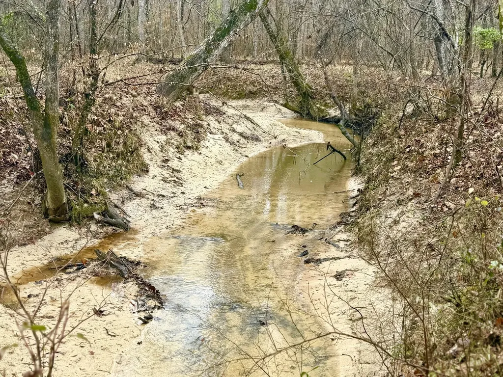 0 Marengo County Road 15 Sweet Water AL 36782