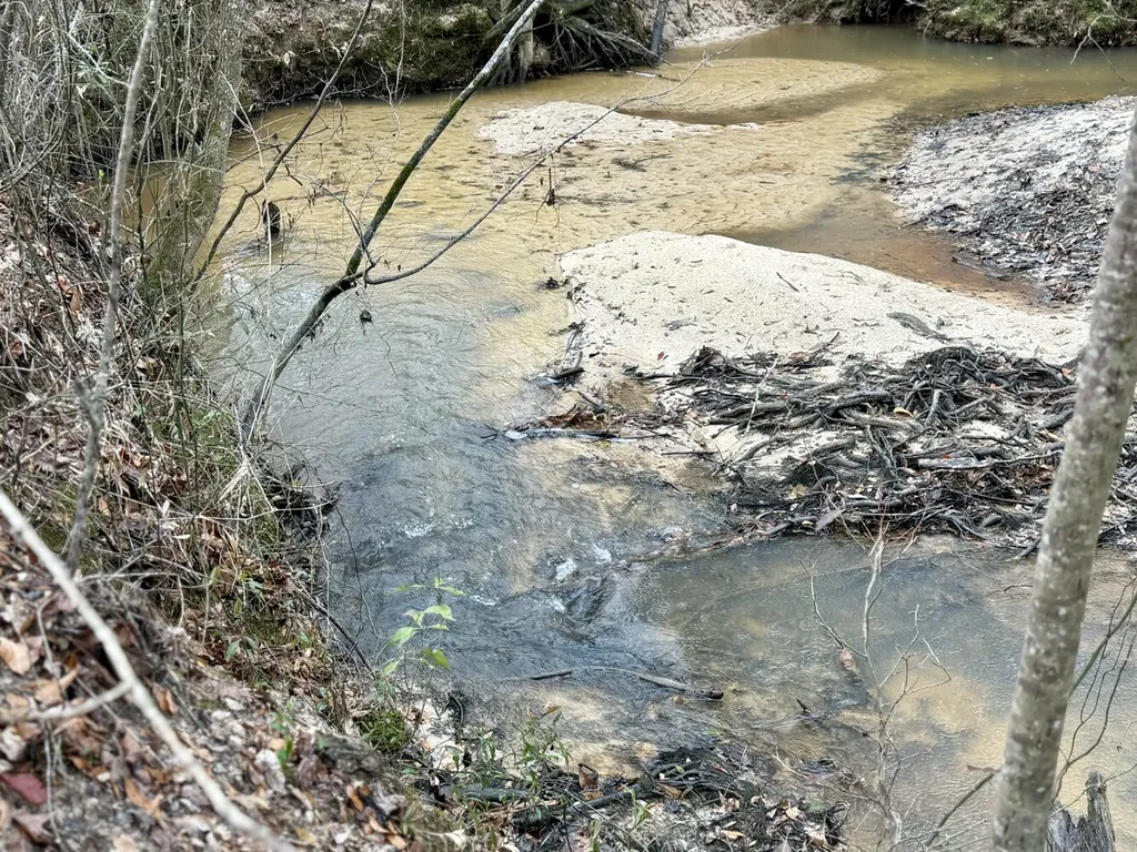 0 Marengo County Road 15 Sweet Water AL 36782
