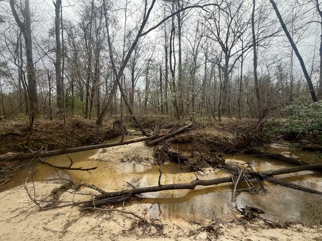 0 Marengo County Road 15 Sweet Water AL 36782
