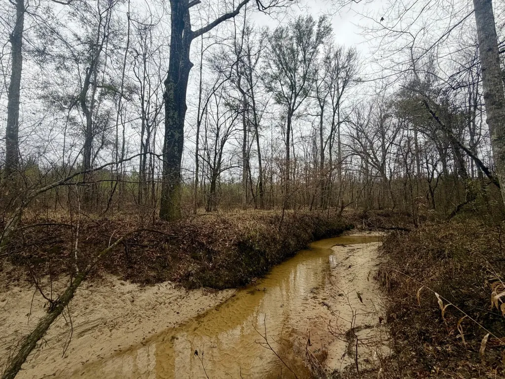 0 Marengo County Road 15 Sweet Water AL 36782