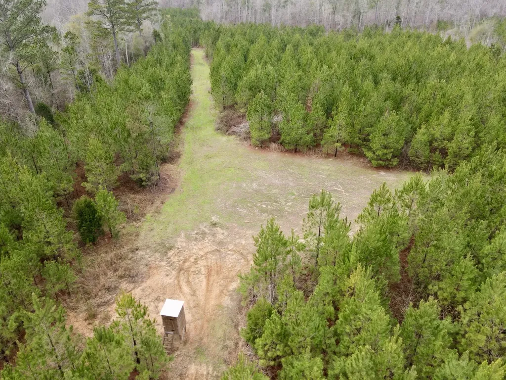0 Marengo County Road 15 Sweet Water AL 36782