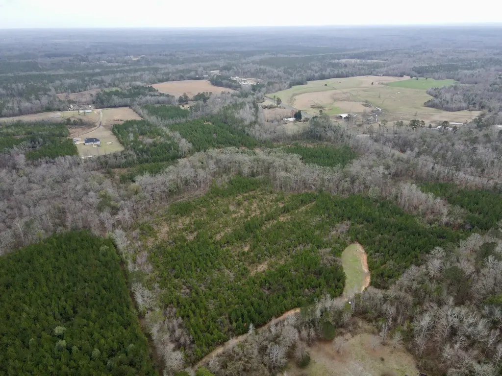 0 Marengo County Road 15 Sweet Water AL 36782