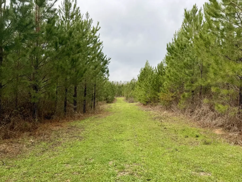 0 Marengo County Road 15 Sweet Water AL 36782