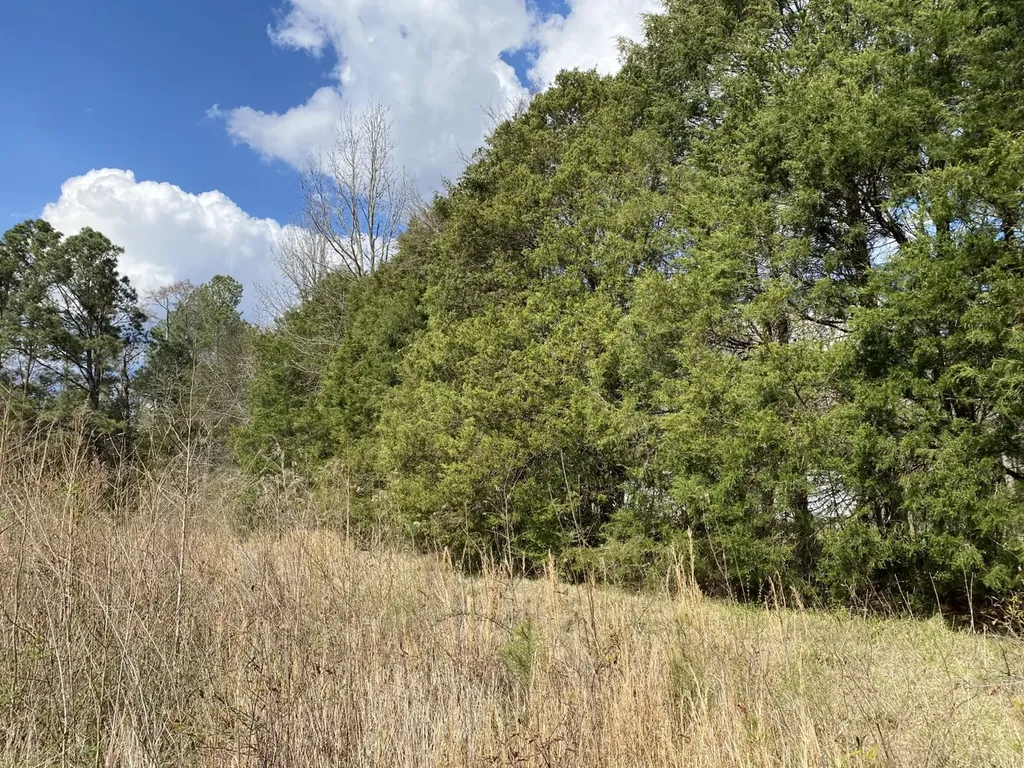 0 Highway 25 Vincent AL 35178