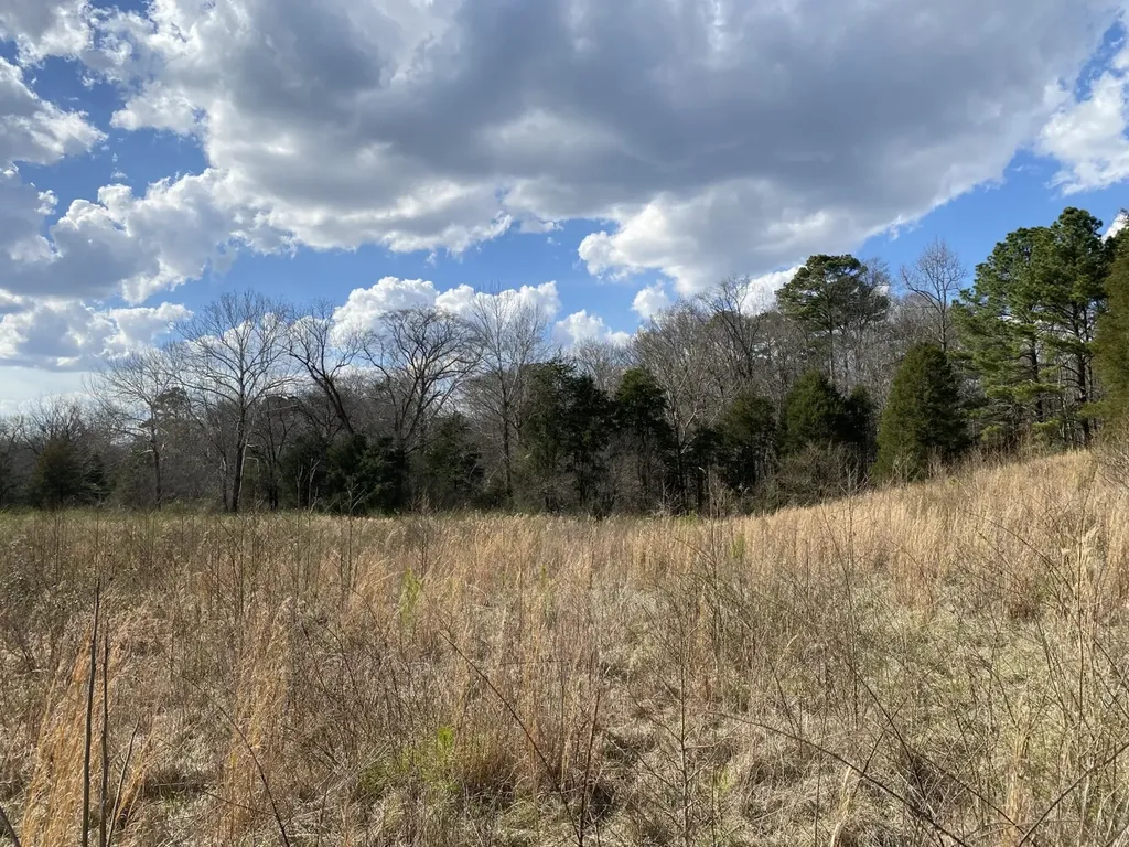 0 Highway 25 Vincent AL 35178