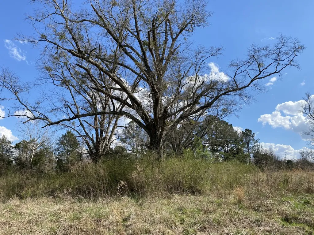 0 Highway 25 Vincent AL 35178