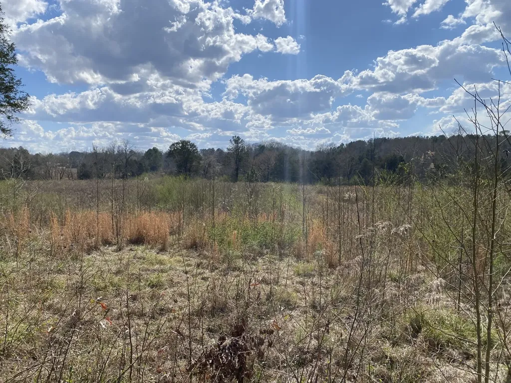 0 Highway 25 Vincent AL 35178
