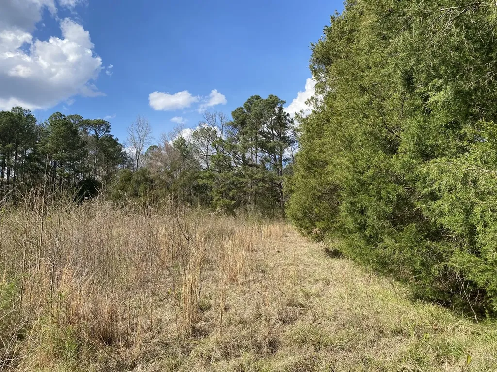 0 Highway 25 Vincent AL 35178