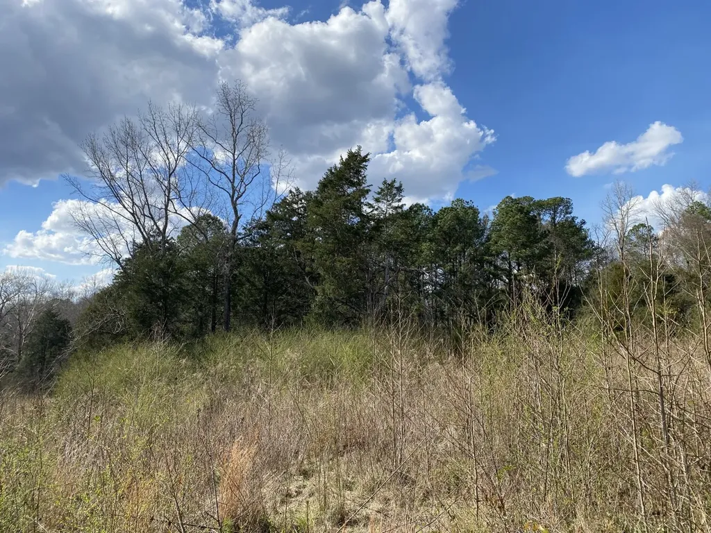 0 Highway 25 Vincent AL 35178