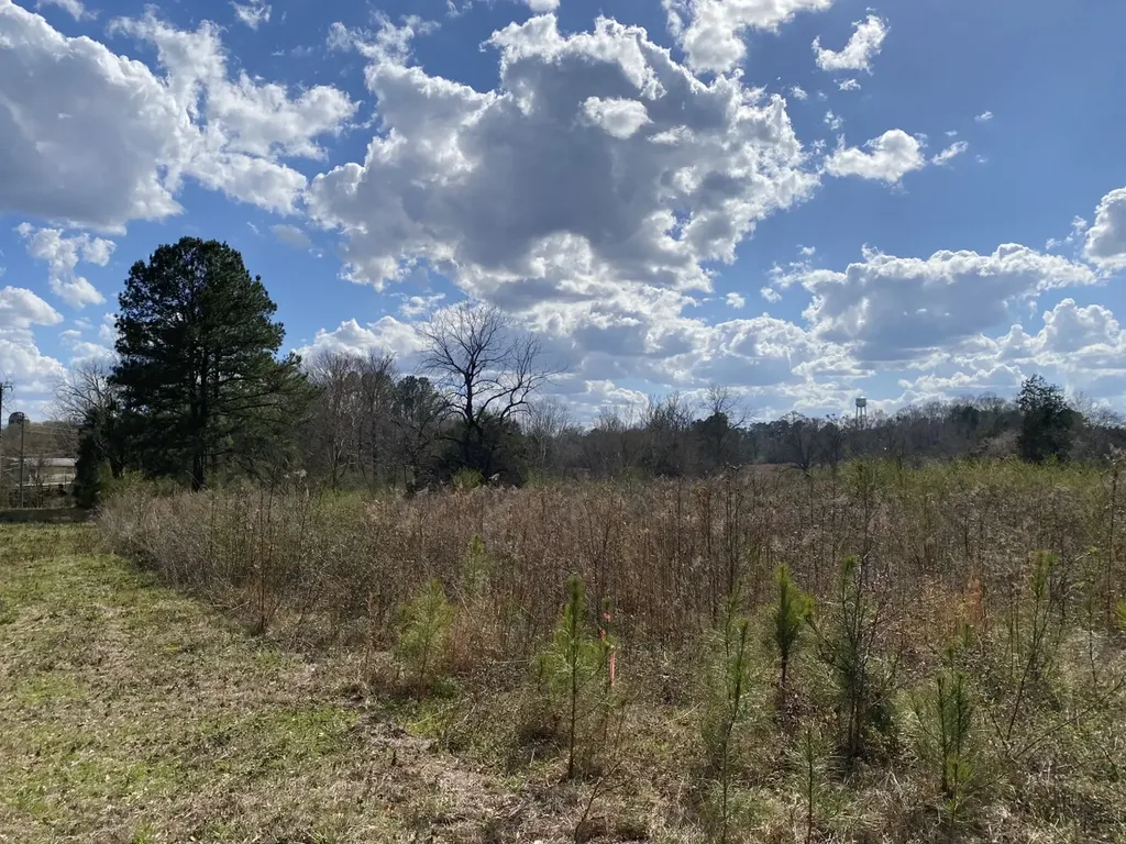 0 Highway 25 Vincent AL 35178