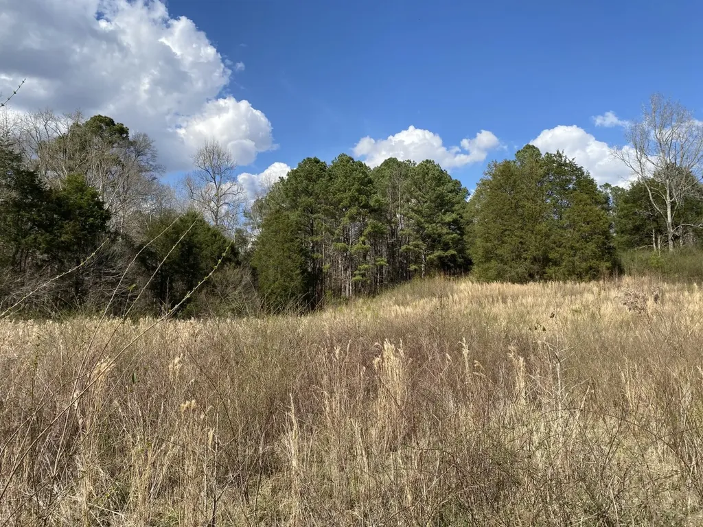0 Highway 25 Vincent AL 35178