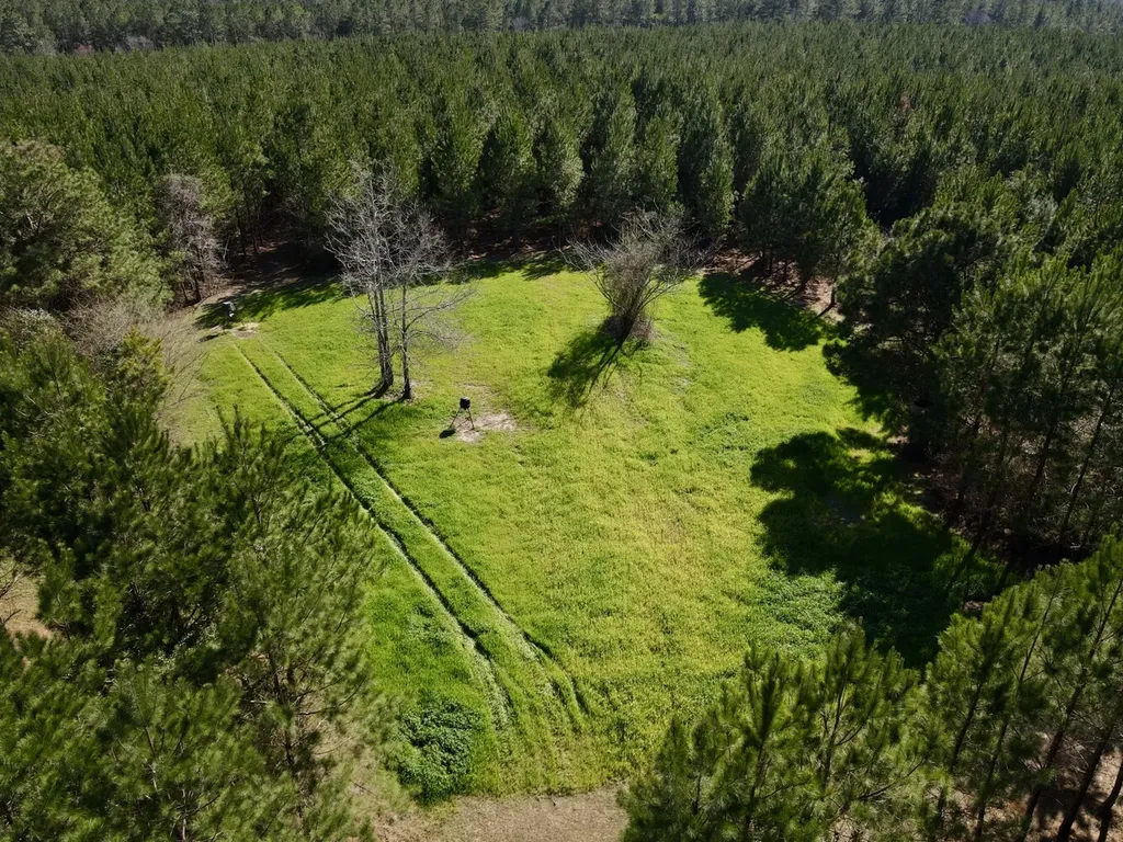 0 Pineapple Highway Greenville AL 36037