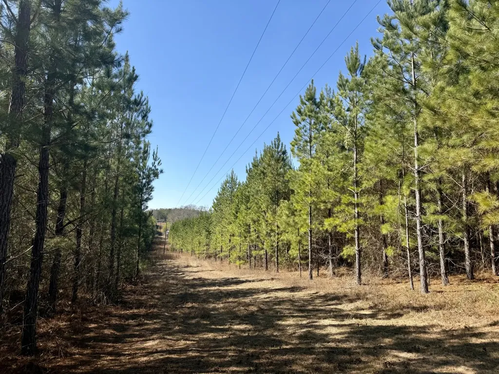 0 Pineapple Highway Greenville AL 36037