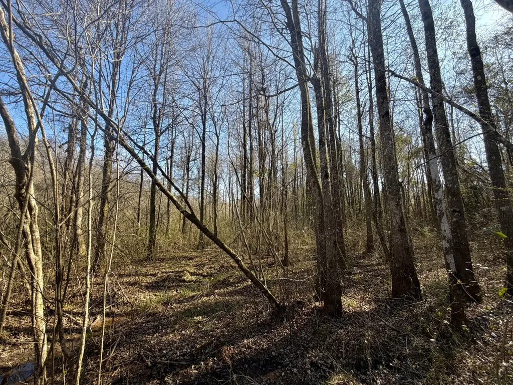 0 Pineapple Highway Greenville AL 36037
