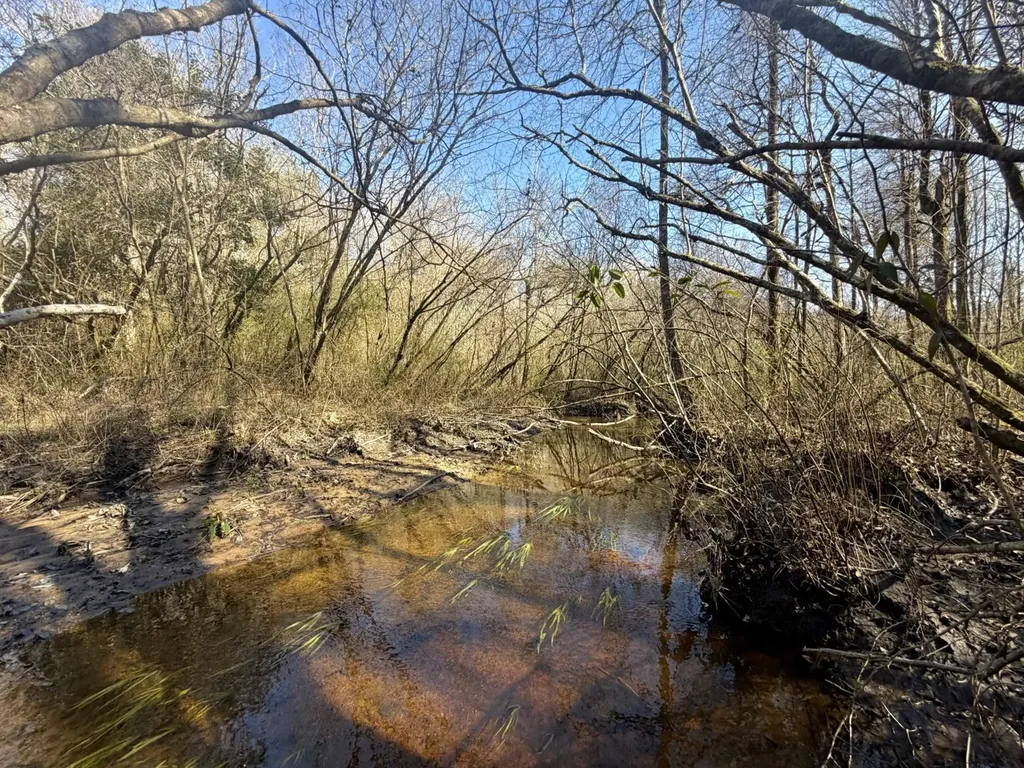 0 Pineapple Highway Greenville AL 36037