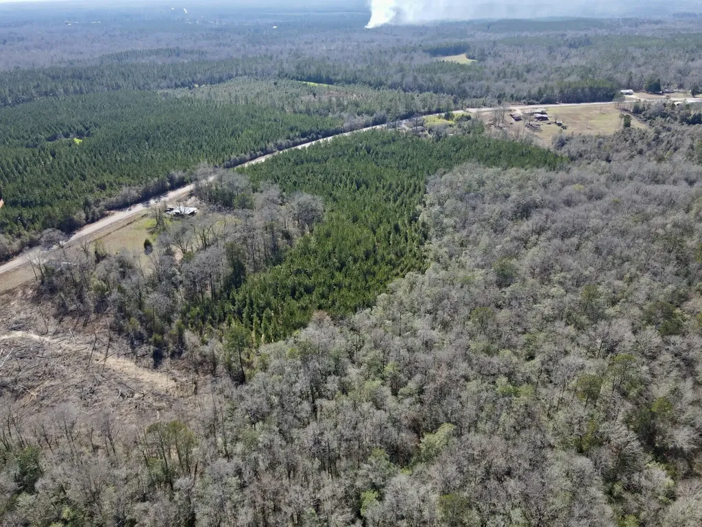 0 Pineapple Highway Greenville AL 36037