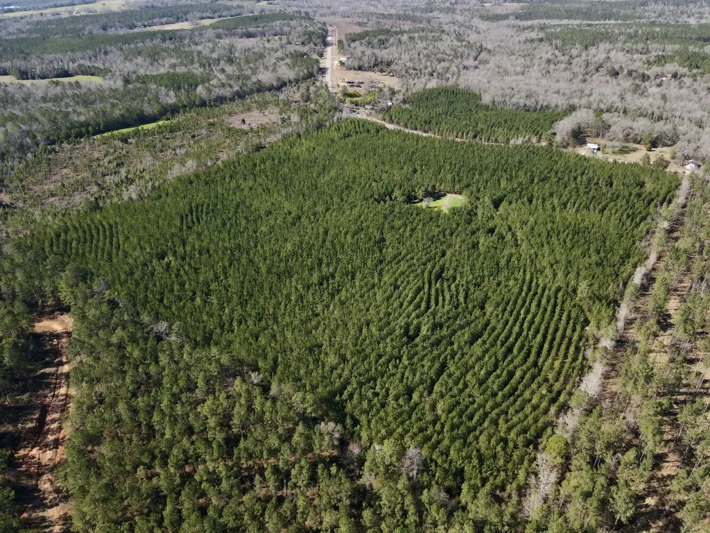 0 Pineapple Highway Greenville AL 36037